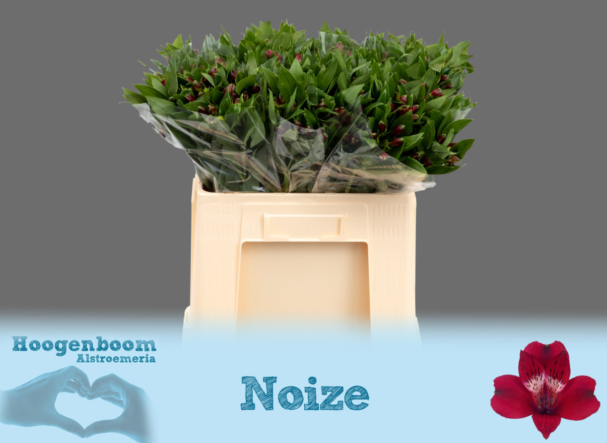 Noize40